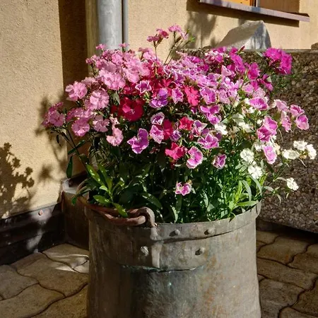 Chesa Munteratsch 1 1 2-zimmerwohnung 309 Typ C Apartment Silvaplana