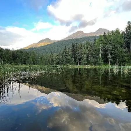 Apartment Chesa Munteratsch 1 1 2-zimmerwohnung 309 Typ C *