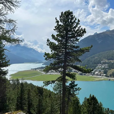 Chesa Munteratsch 1 1 2-zimmerwohnung 309 Typ C Apartment