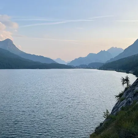 Apartment Chesa Munteratsch 1 1 2-zimmerwohnung 309 Typ C Silvaplana