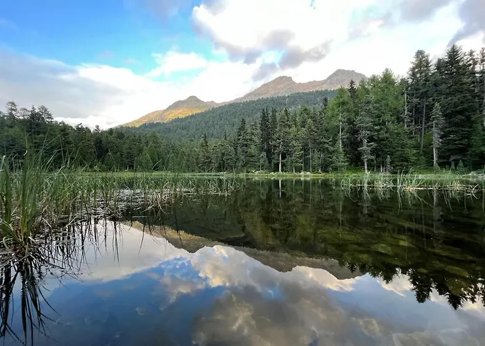 Appartamento Chesa Munteratsch 1 1 2-zimmerwohnung 309 Typ C *