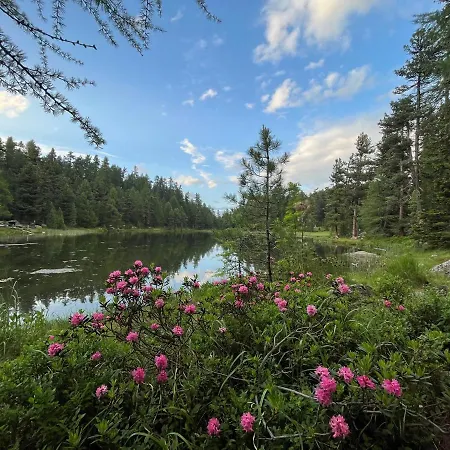 Chesa Munteratsch 1 1 2-zimmerwohnung 309 Typ C Lägenhet