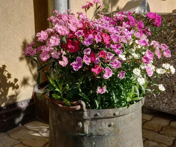 Chesa Munteratsch 1 1 2-zimmerwohnung 309 Typ C Apartman Silvaplana