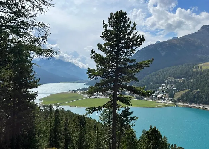 Chesa Munteratsch 1 1 2-zimmerwohnung 309 Typ C Apartman