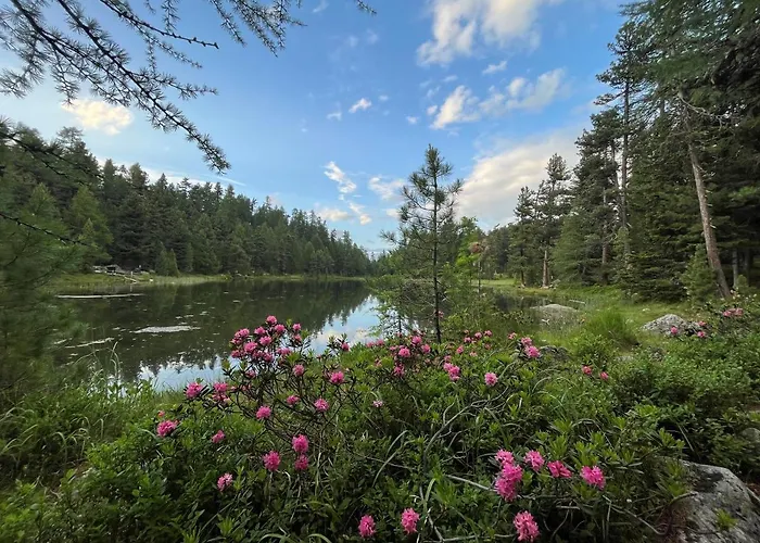 Chesa Munteratsch 1 1 2-zimmerwohnung 309 Typ C Apartman