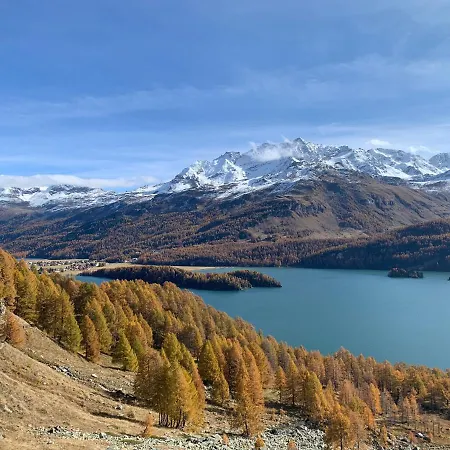 Chesa Munteratsch 1 1 2-zimmerwohnung 309 Typ C 公寓