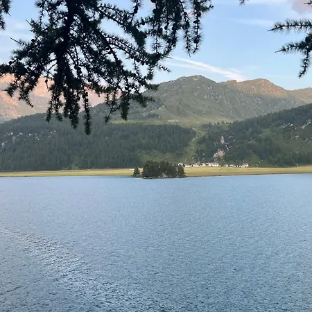 Chesa Munteratsch 1 1 2-zimmerwohnung 309 Typ C 公寓